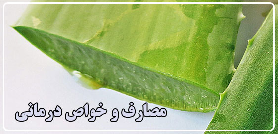 مصارف و خواص درمانی آلوئه ورا