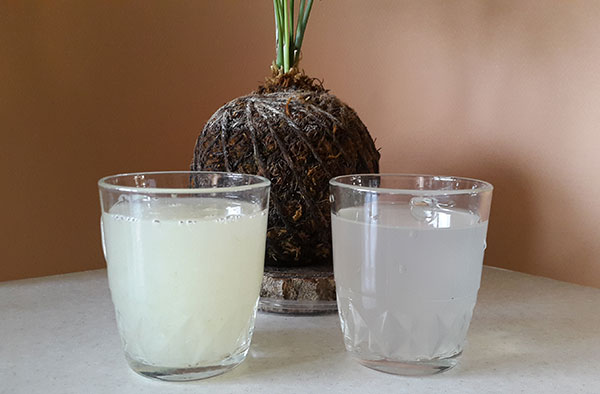 کاربرد ژل آلوورا