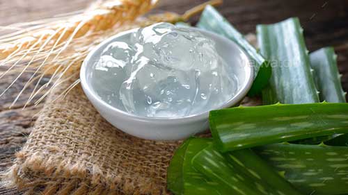 آلوورا و طب سنتی