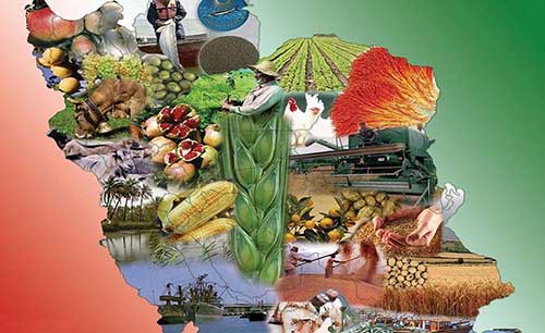 آشنایی با ظرفیت های کشاورزی در ایران