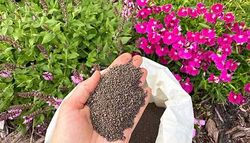 کود مناسب برای گل دادن گیاهان