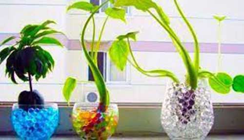 خاک ژله ای چیست و چه کاربردی دارد