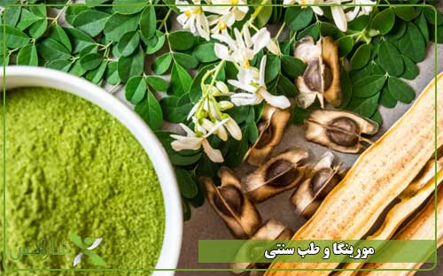 گیاه مورینگا و طب سنتی