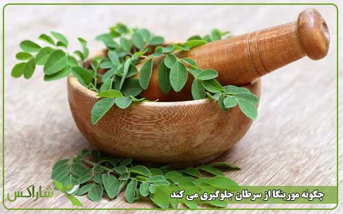 چگونه مورینگا از سرطان جلوگیری می کند