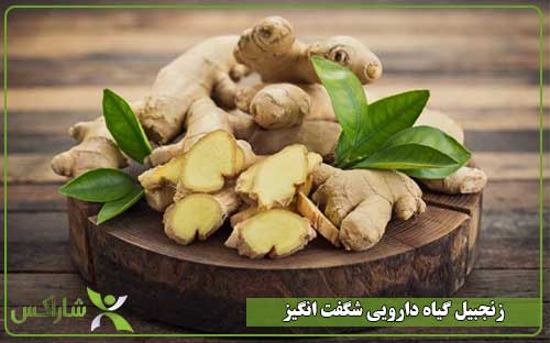 زنجبیل ، گیاه دارویی شگفت انگیز