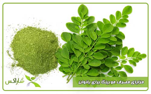 مزایای مصرف مورینگا برای بانوان