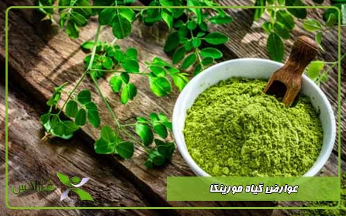 عوارض گیاه مورینگا